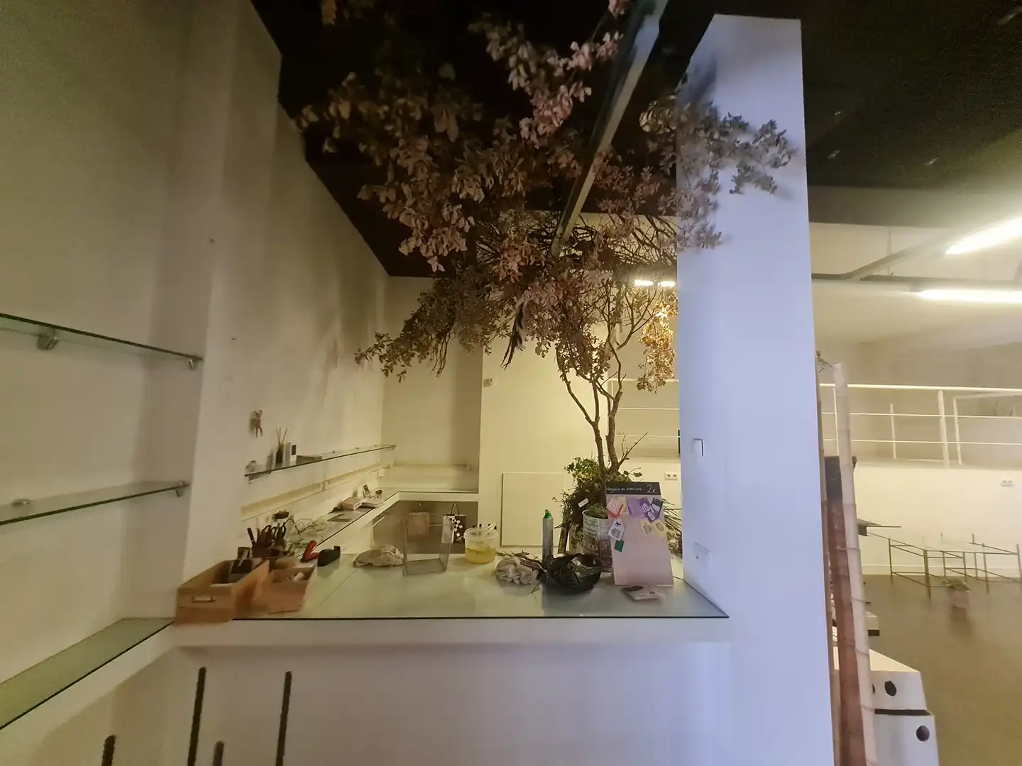 Local comercial de lloguer a Plaça de Pi i Margall 20, imagen 19