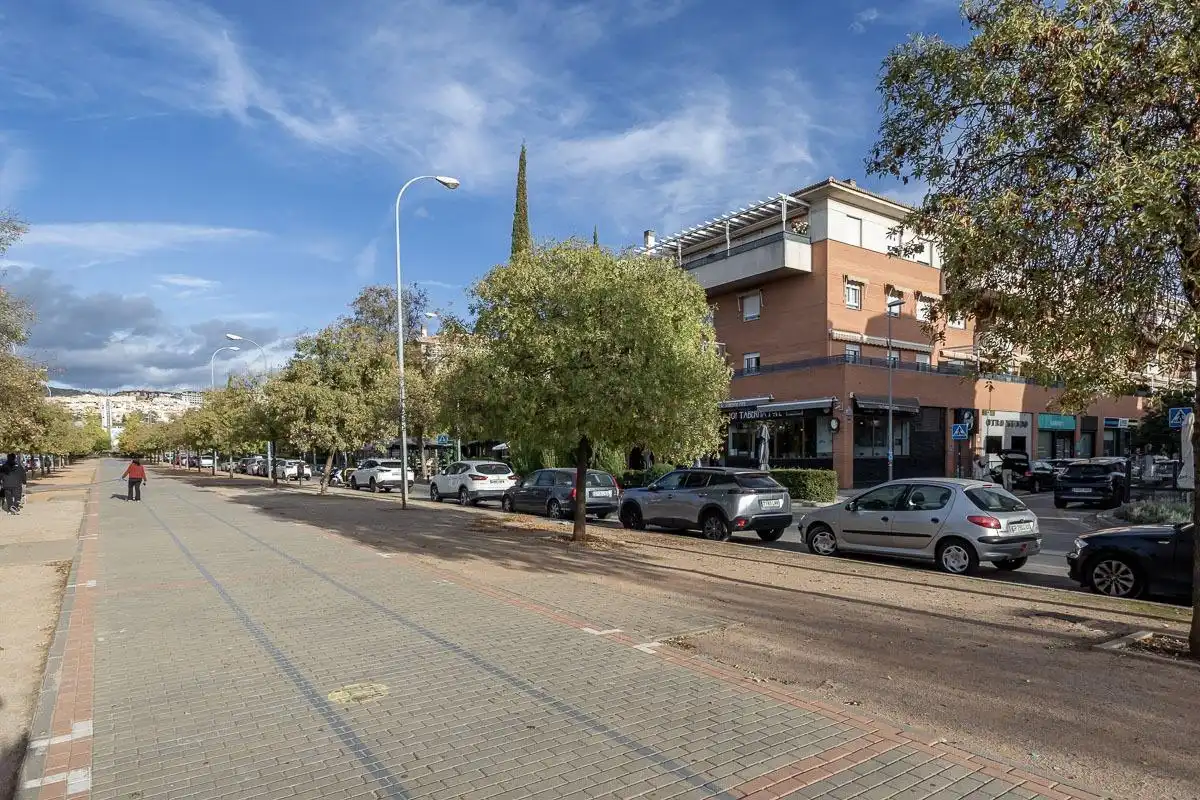 Business premises for transfer in Genil, imagen 20