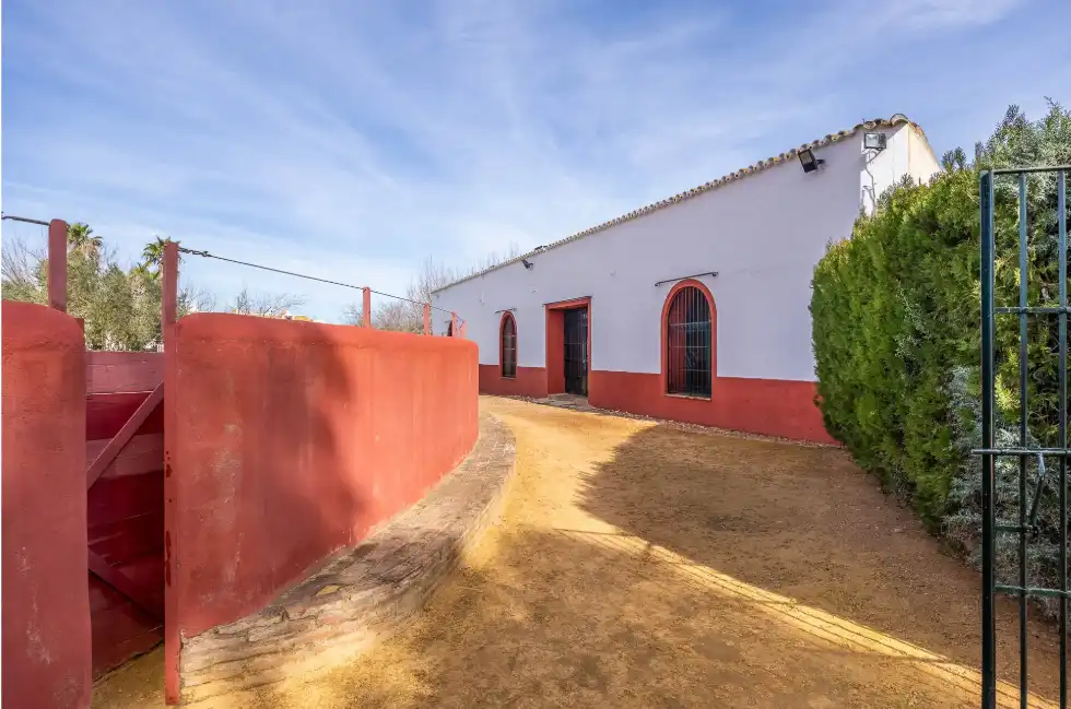 Casa rústica amb terrassa en venda a Carretera Guadajoz, imagen 11