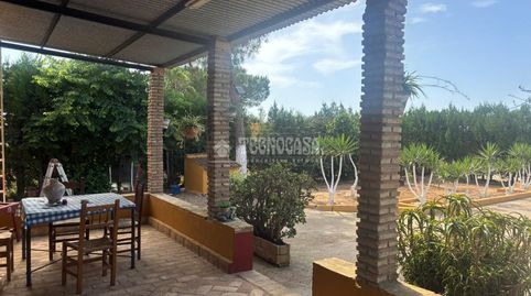 Photo 5 of Country homes for sale in Pilas, Sevilla