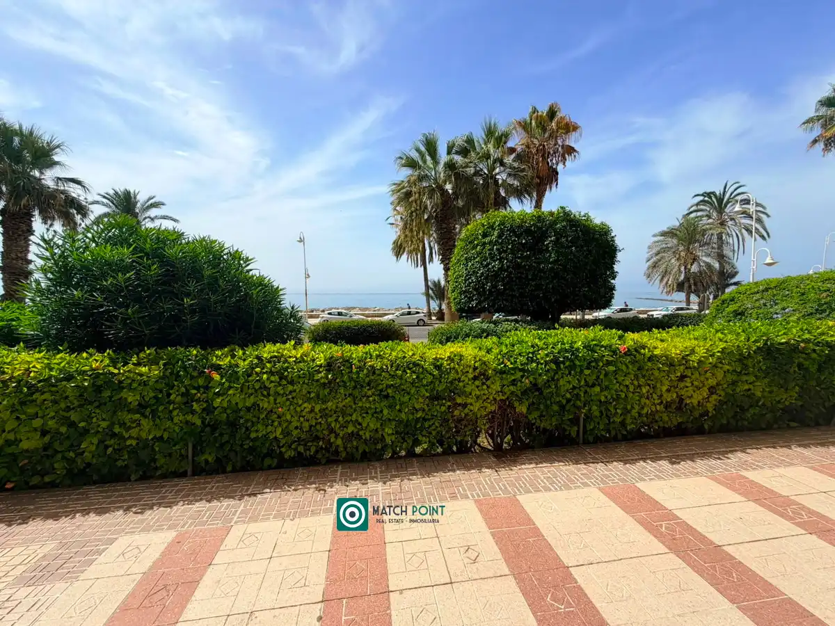 Exterior view of Ground floor for rent in Almuñécar  with Furnished