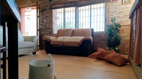 Photo 5 of Country homes for sale in N/a, Paterna del Campo, Huelva