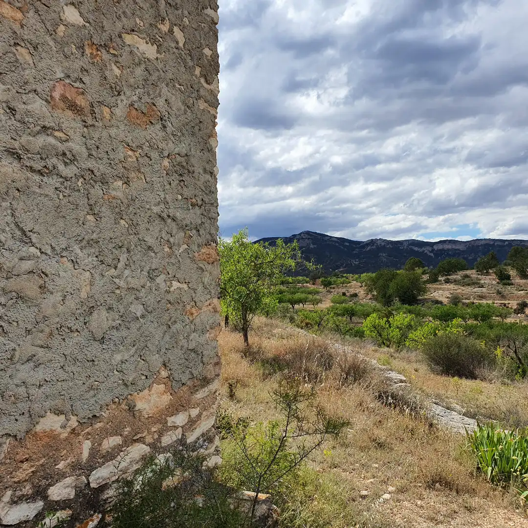 Rural land for sale in El Pinell de Brai, imagen 21