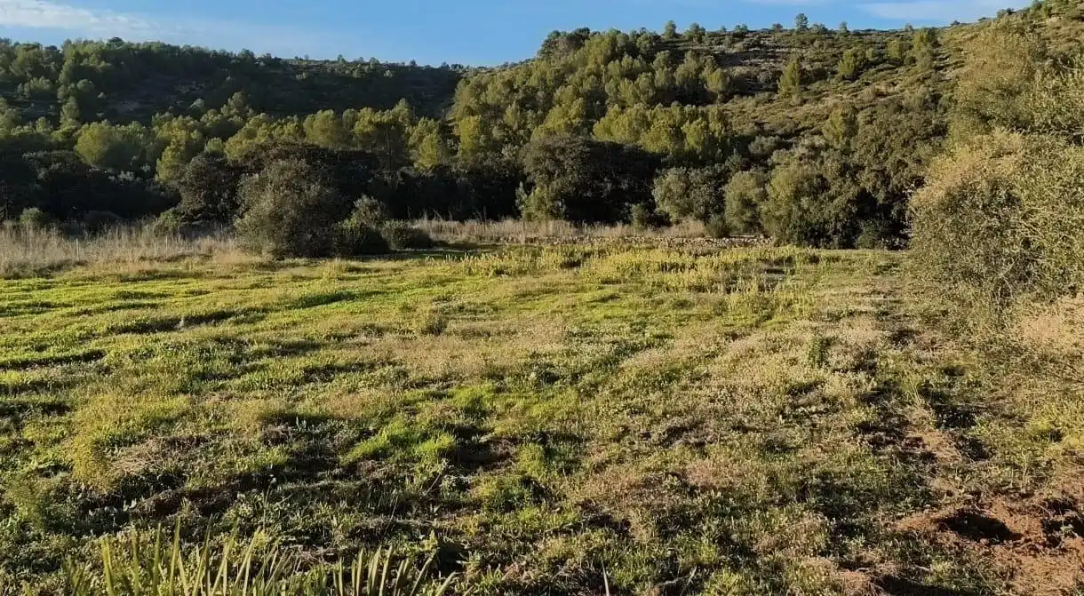 Terreny residencial en venda a Alcalalí