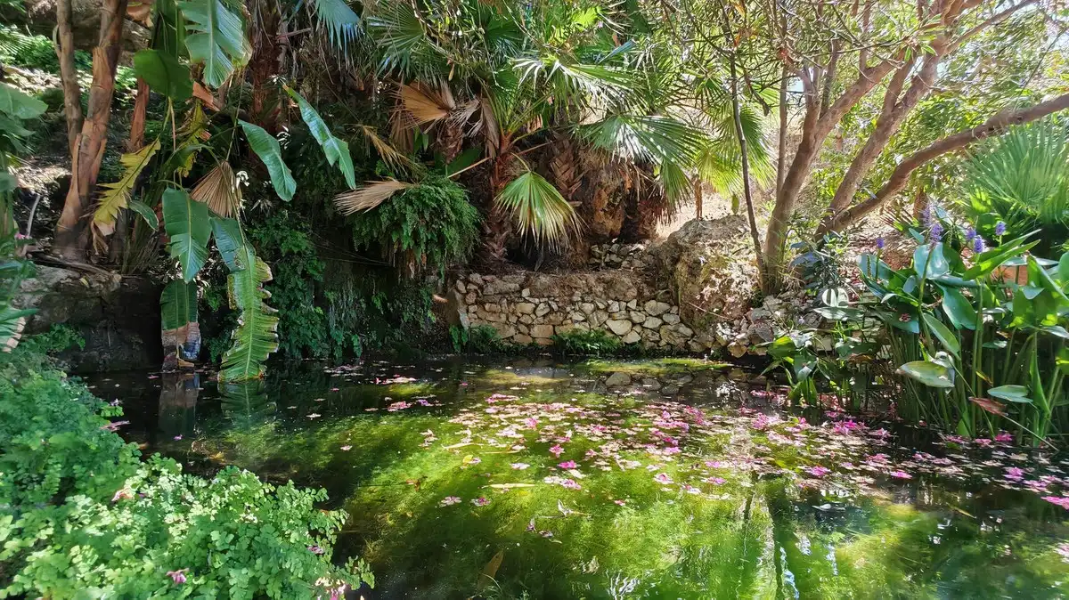 Jardí de Finca rústica en venda en Alhaurín El Grande amb Aire condicionat, Jardí privat i Terrassa