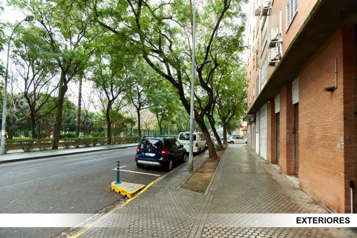 Habitació a Sevilla, Sevilla