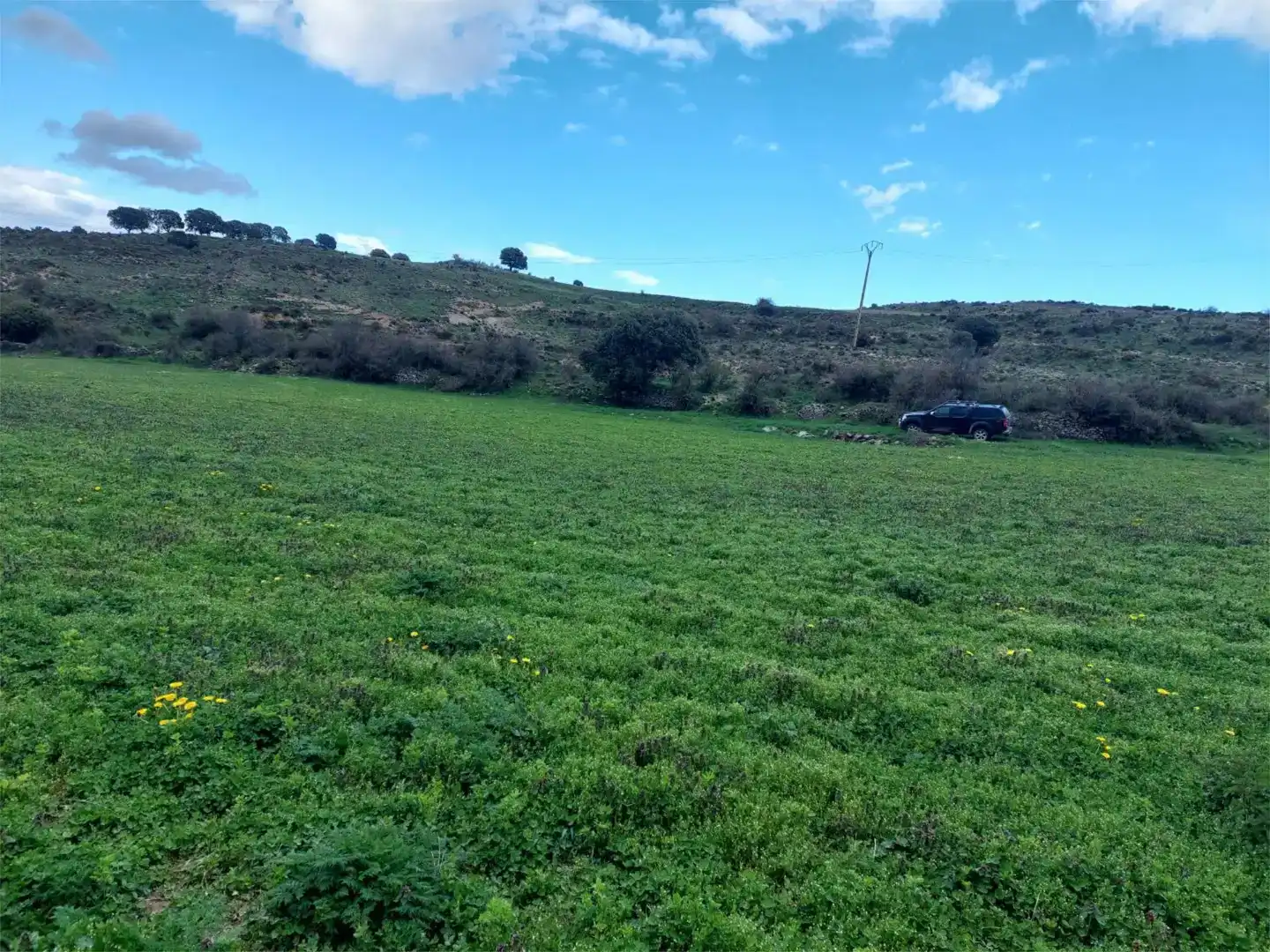 Terreno en venta en Suellacabras