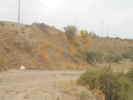 Terrain rustique à vendre à Huércal-Overa, imagen 4