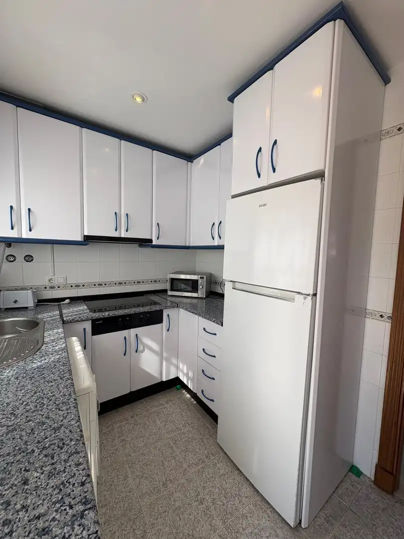 Kitchen of Apartments for sale in Chiclana de la Frontera  with Private garden, Terrace and Furnished