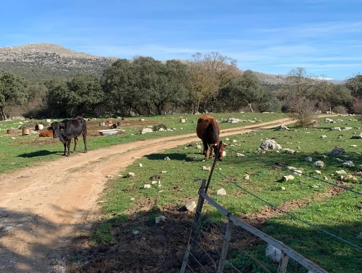 Casa rústica amb jardí en venda a Zafarraya, imagen 28