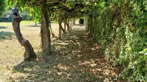 Foto 4 de Finca rústica en venda a Rúa Emilia Pardo Bazán, 52, Mondariz-Balneario, Pontevedra