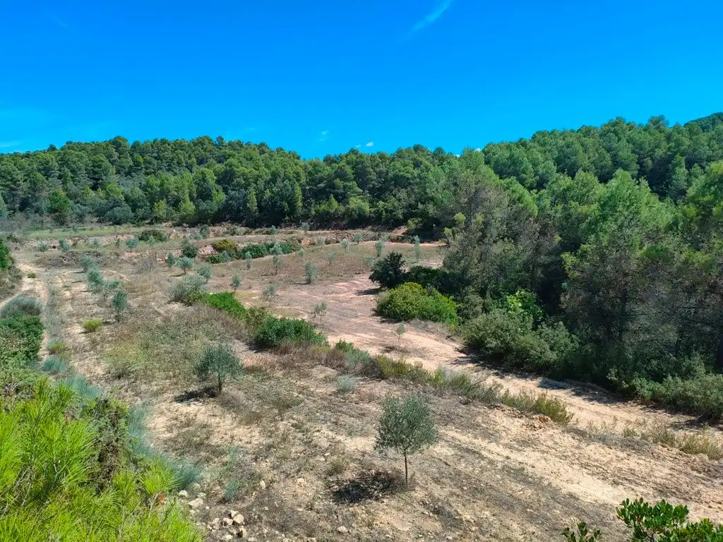 Rural land for sale in Horta de Sant Joan, imagen 2
