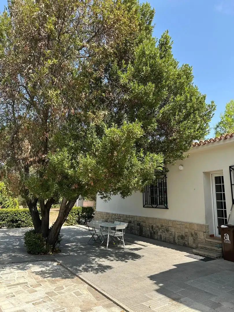 Exterior view of Houses for sale in Muro de Alcoy  with Heating, Swimming Pool and Furnished
