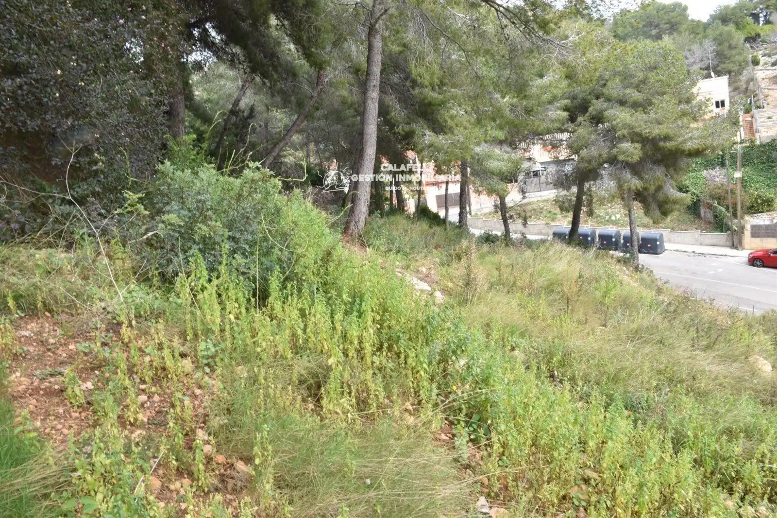 Rural land for sale in GLADIOL, imagen 5