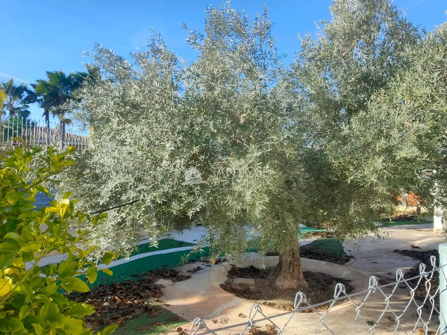 Xalet amb piscina en venda a Pedanías Este, imagen 40