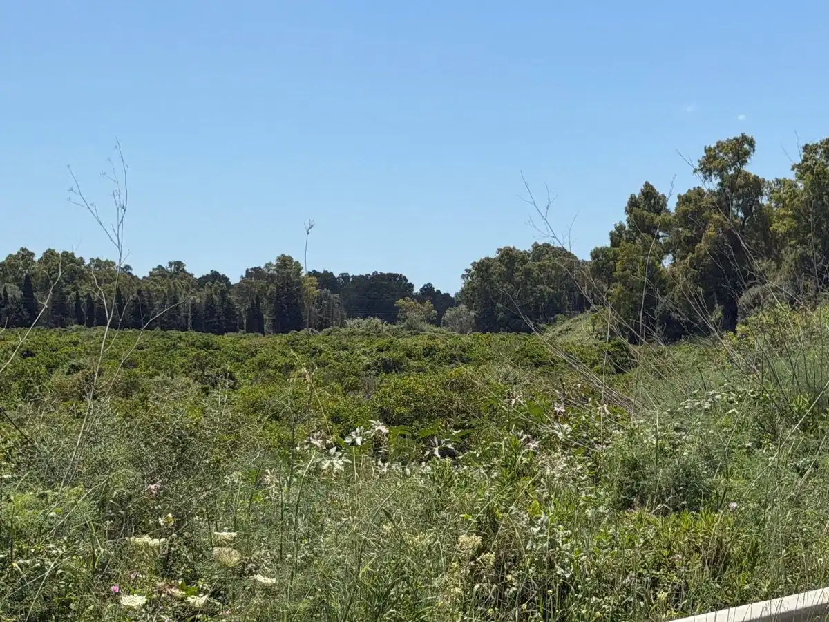 Casa rústica en venda a San Enrique - Guadiaro -  Pueblo Nuevo, imagen 7