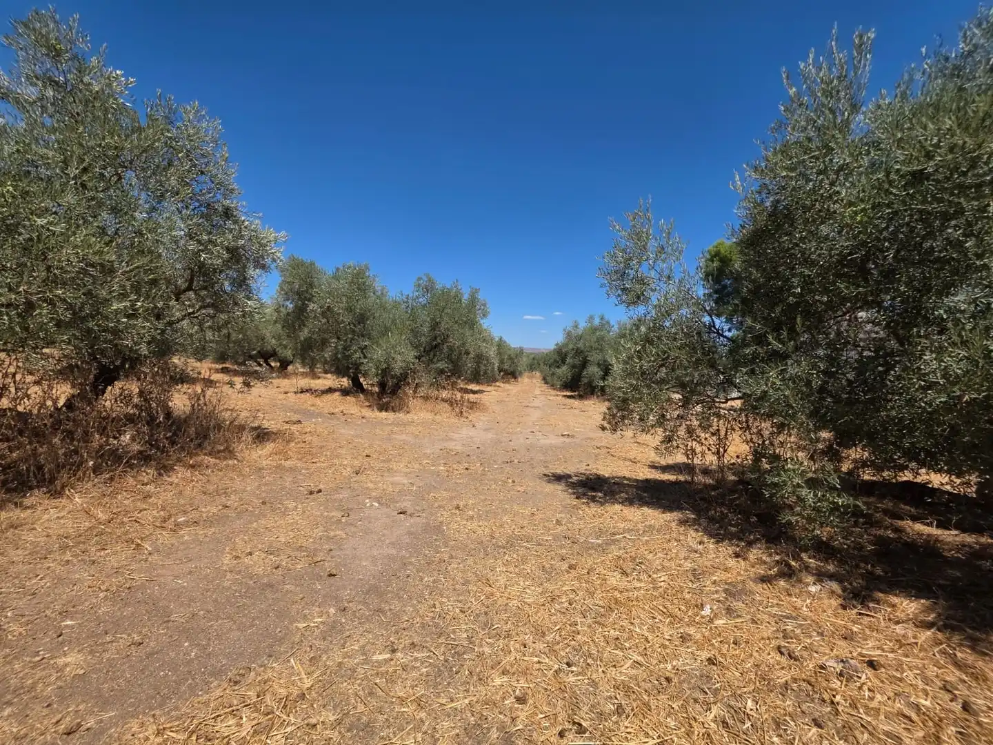 Maison rustique à vendre à Barrio Antequera, imagen 28