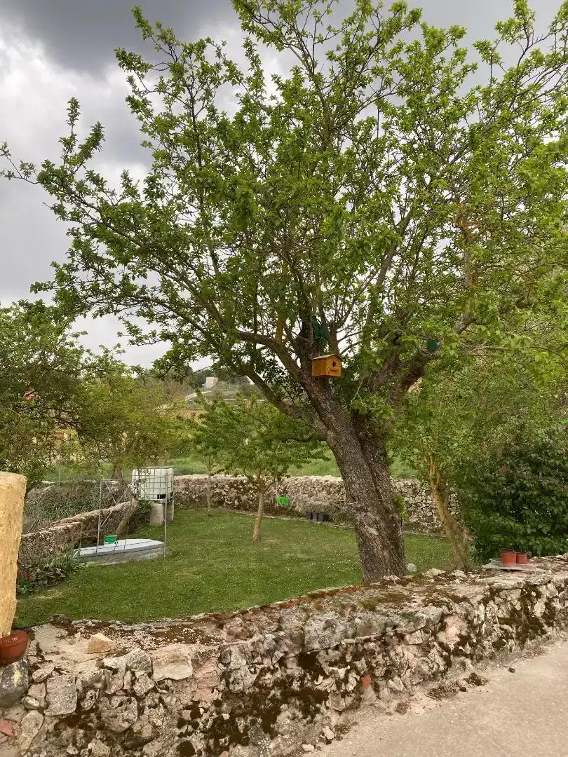 Jardí de Finca rústica en venda en Atapuerca