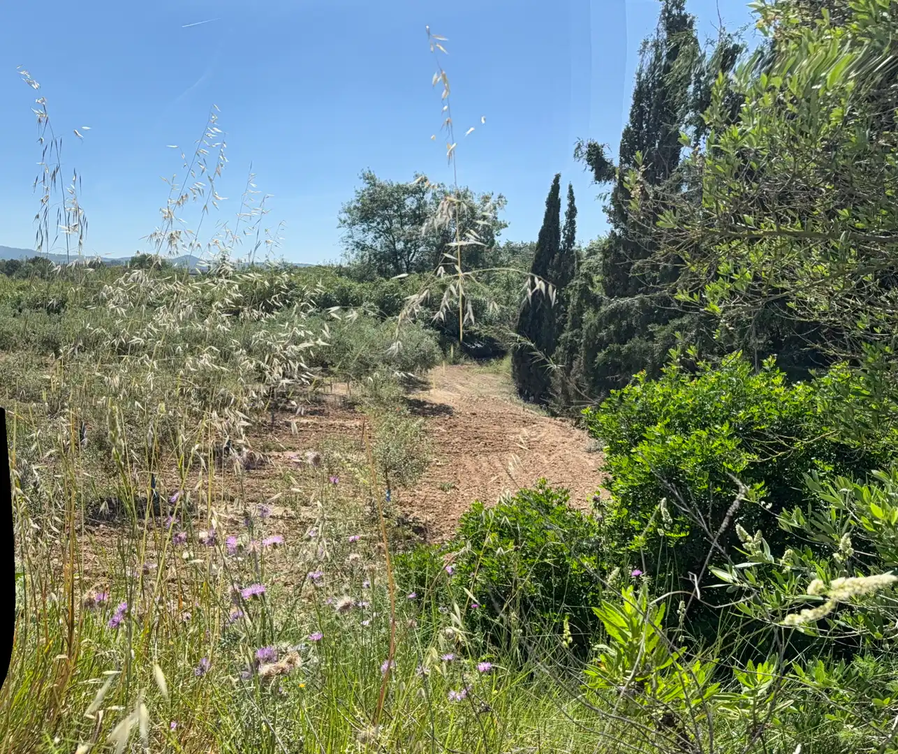 Rustikales Grundstück zum Verkauf in Camí del Cementiri 97, imagen 19