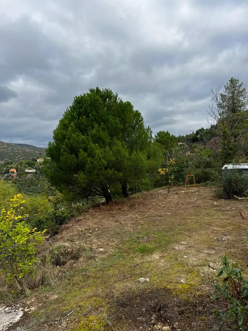 Terreni e lotti in vendita a Robledo de Chavela, imagen 8