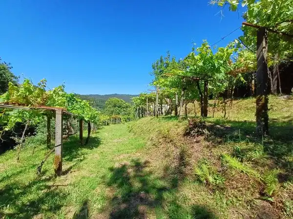 Casa amb jardí en venda a Lugar Parada-Franqueira, imagen 16