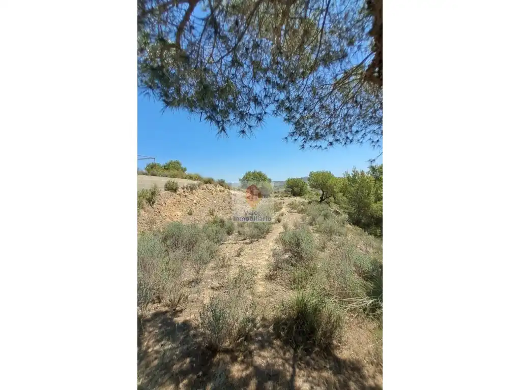 Terreno residenziale in vendita a Campo de Murcia, imagen 4
