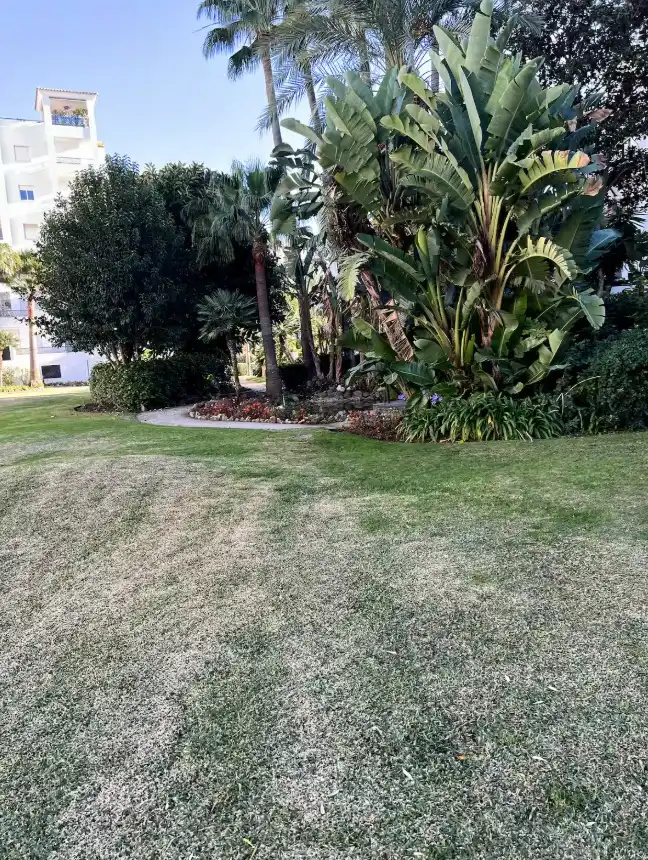 Jardí de Apartament de lloguer en Marbella amb Aire condicionat, Calefacció i Parquet