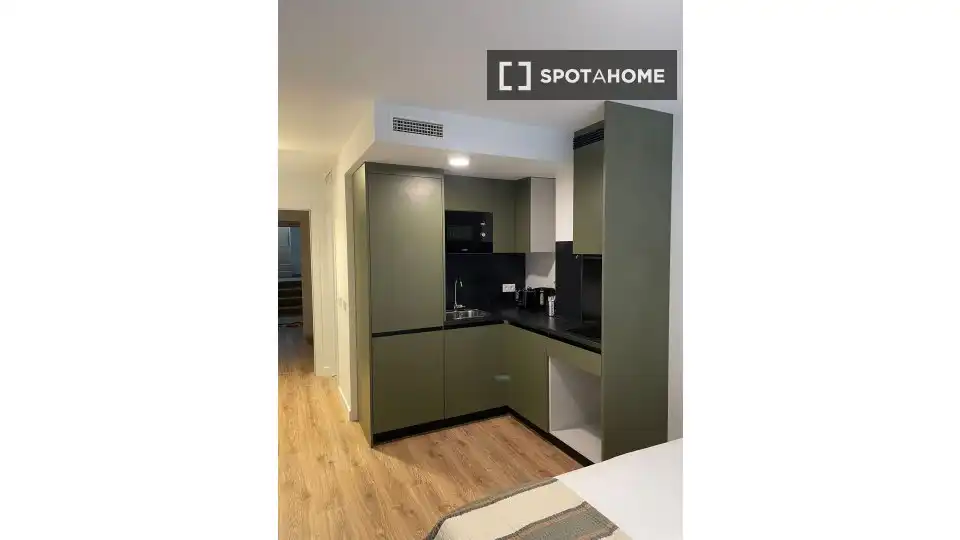 Kitchen of Flat for rent in Madrid  with Air Conditioner, Heating and Furnished