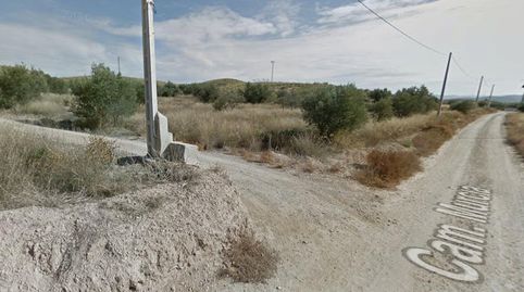 Solar urbano de 503 m2 con 2.510 m2 de olivar en Tobarra, immagine 2