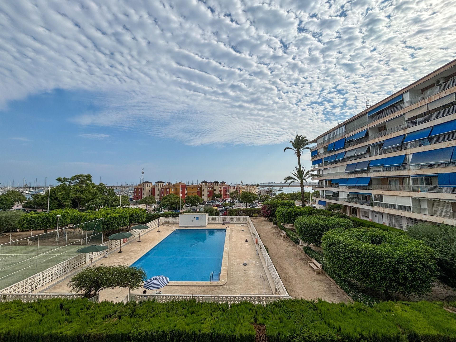 Swimming pool of Apartment to rent in Torrevieja  with Swimming Pool and Community pool