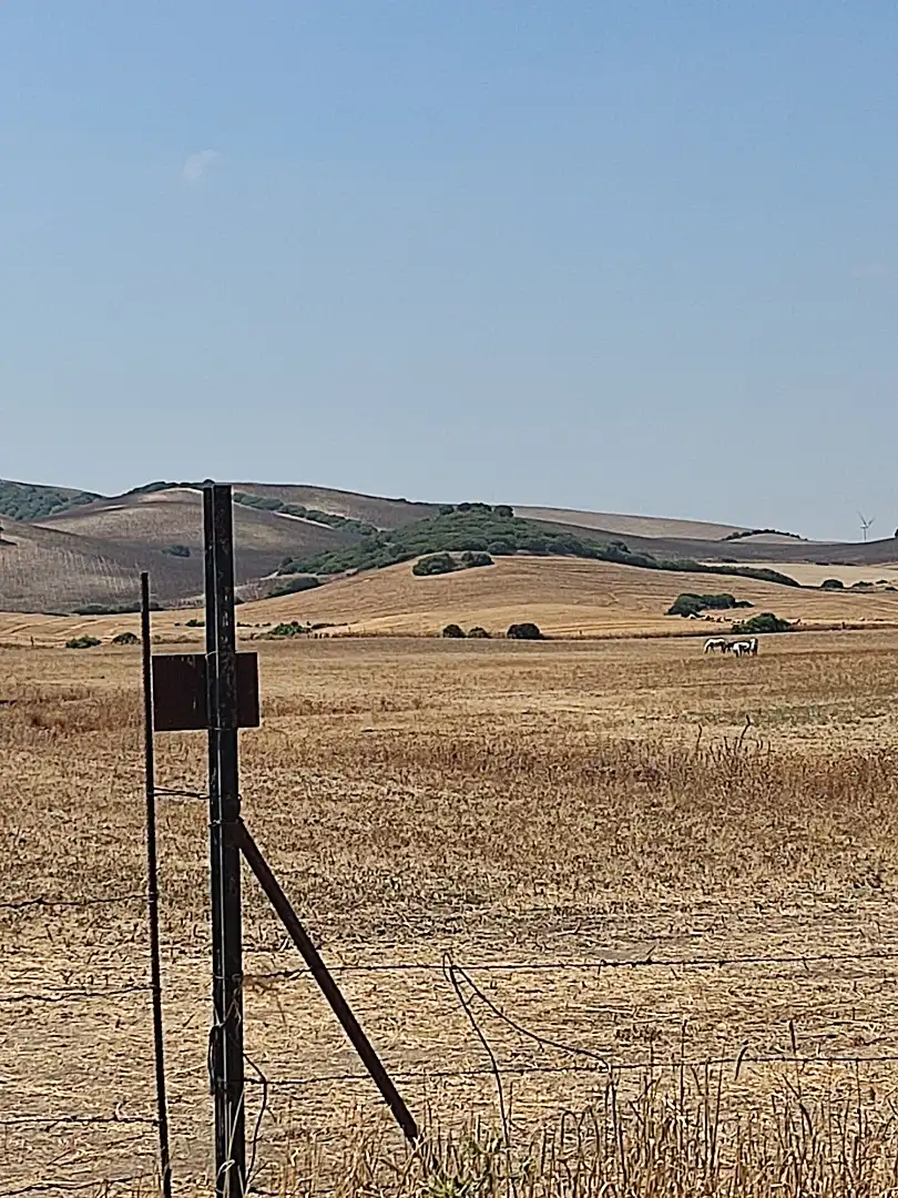 Terreni e lotti in vendita a Lugar el Berrueco, imagen 11