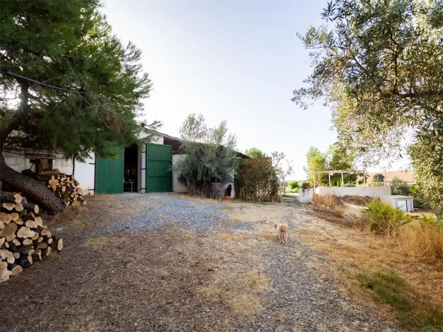 Jardí de Finca rústica en venda en Alhama de Granada amb Aire condicionat i Piscina