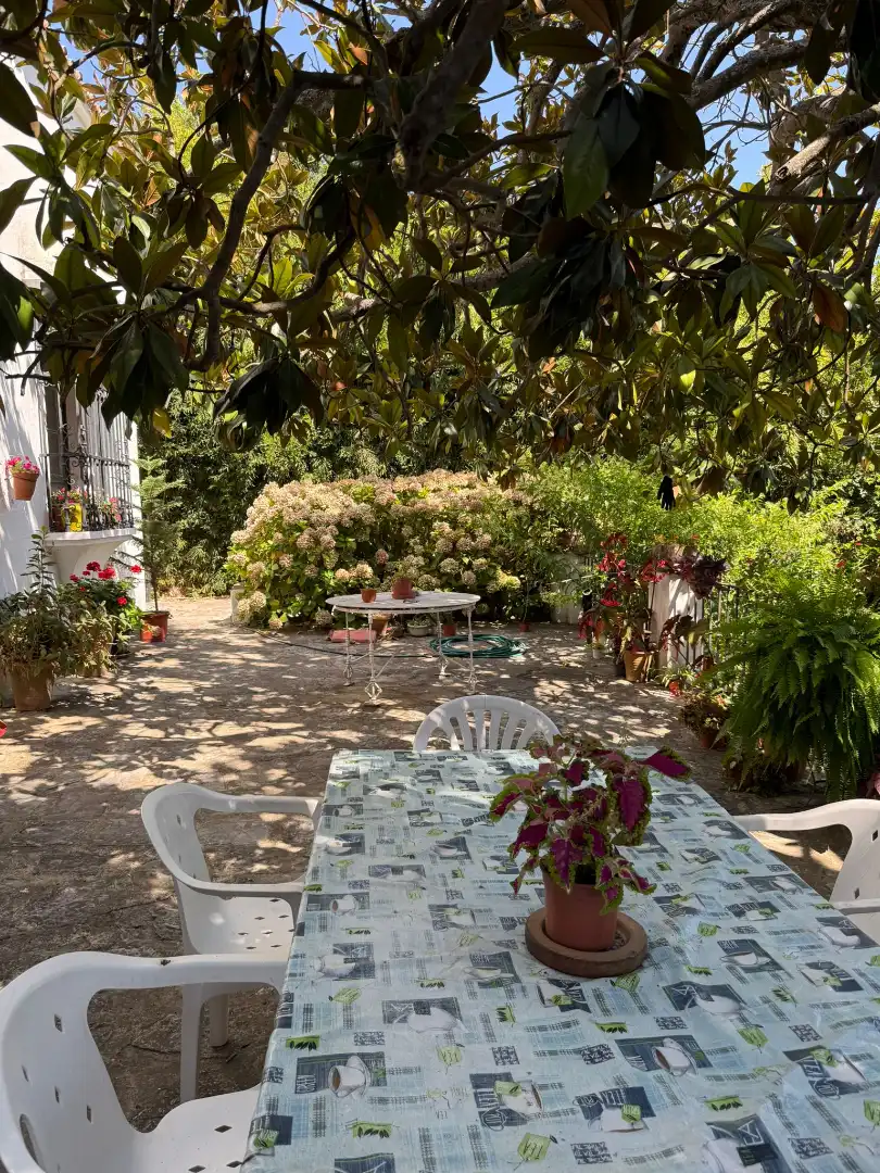 Jardín de Casa o chalet en venta en Algeciras con Jardín privado, Terraza y Piscina