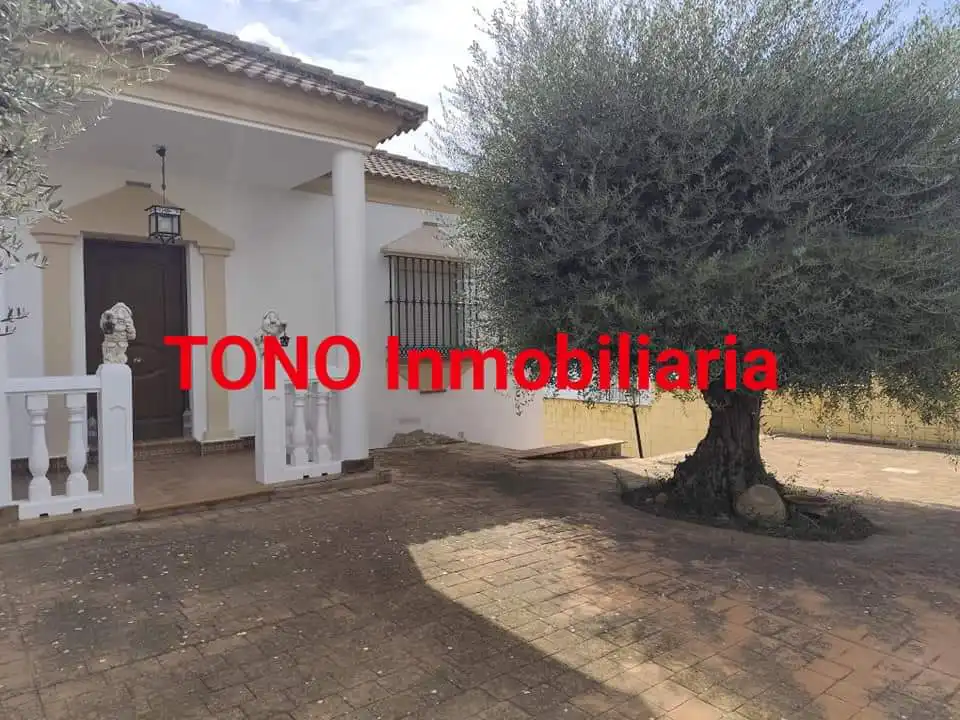 Vista exterior de Casa o xalet en venda en Écija amb Jardí privat, Terrassa i Piscina
