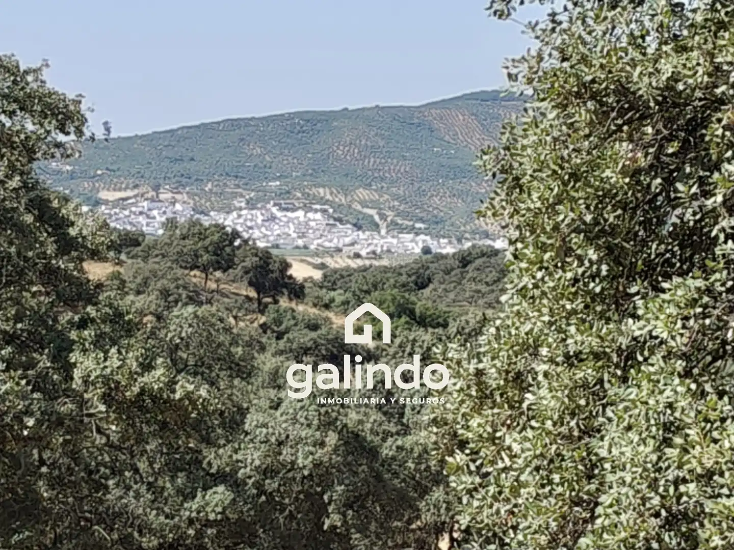 Terreno rustico in vendita a La Puebla de los Infantes, imagen 3