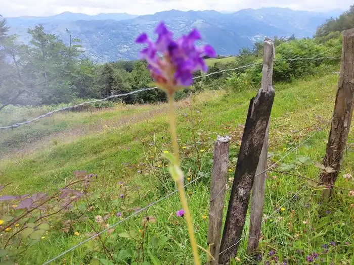 Jardí de Finca rústica en venda en Aller amb Moblat