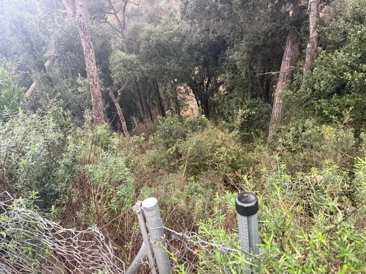 Terreno residenziale in vendita a Can Massuet del Far, imagen 9