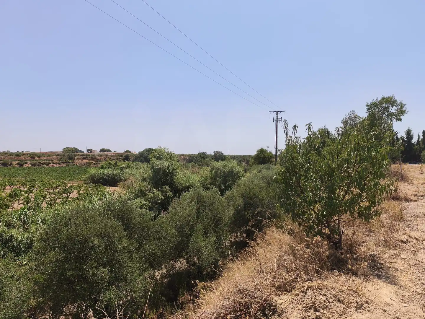 Rustikales Grundstück zum Verkauf in Sant Jaume dels Domenys, imagen 30