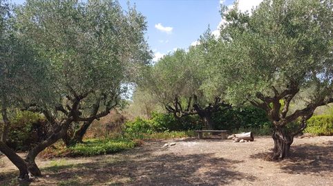 Foto 5 de Casa o xalet en venda a Calle del Bosc, Torrelavit, Barcelona