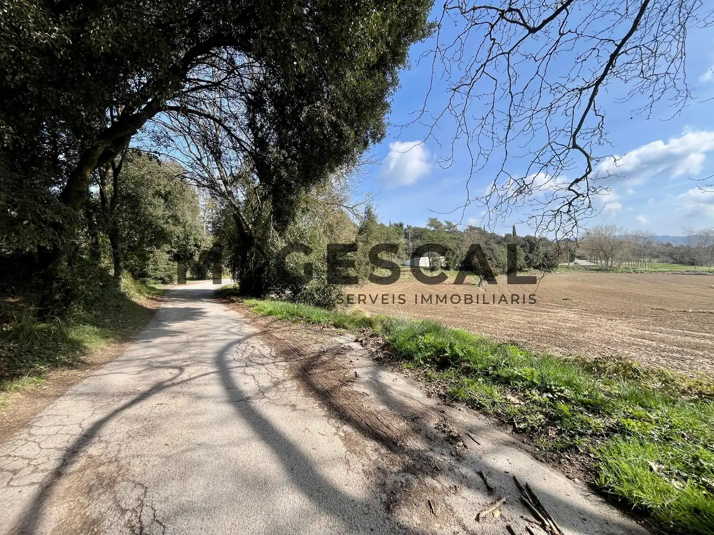 Terrenys i solars en venda a LLUIS BADO, imagen 42