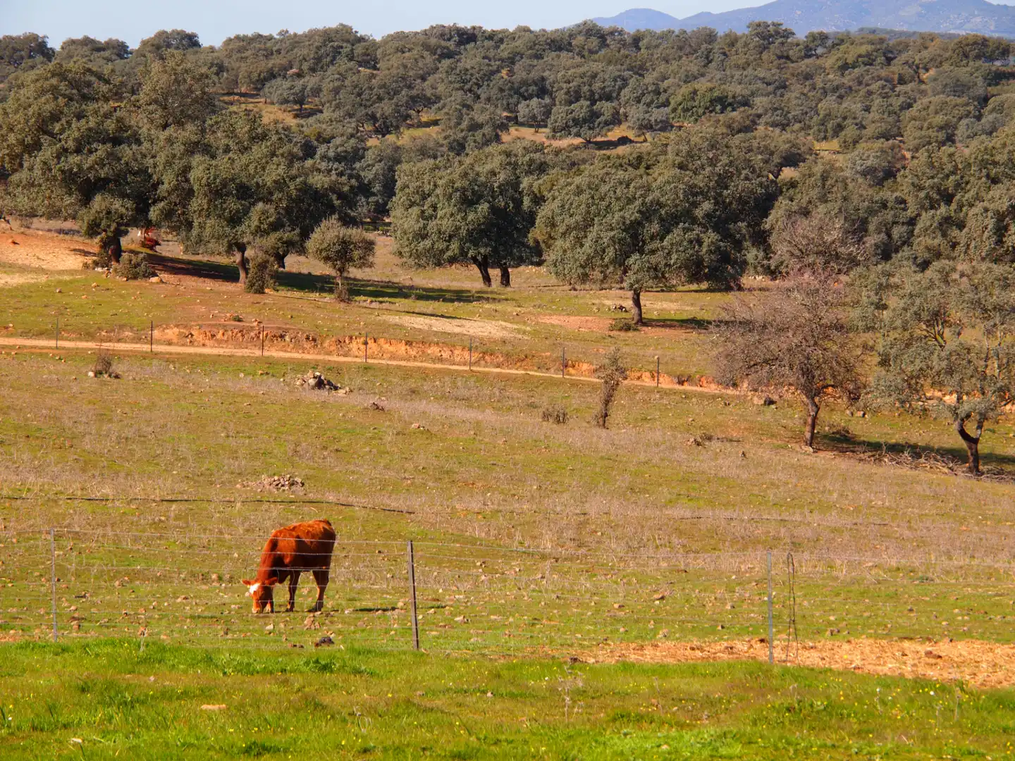 Country house zum Verkauf in Santa Olalla del Cala