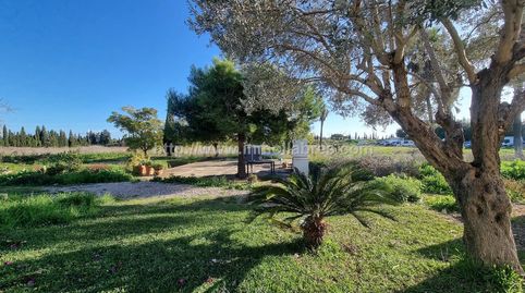 Foto 3 de Finca rústica en venta en Gran Via de Colom, Inca