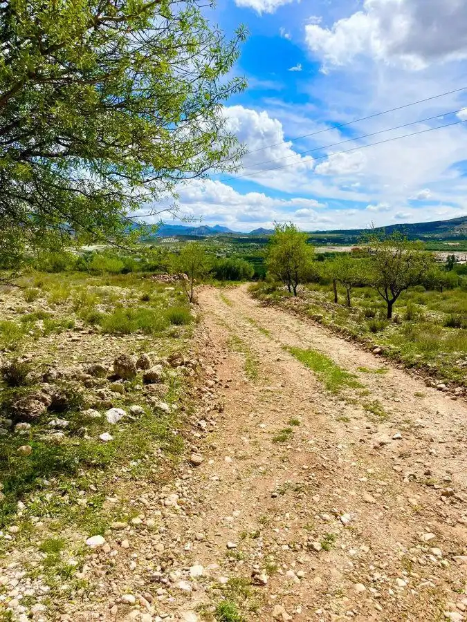 Terrenos y solares en venta en Vélez-Blanco, imagen 10
