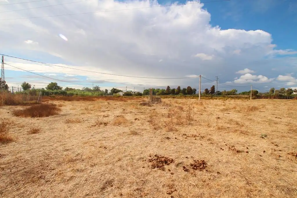 Terreno rústico en venta en Jerez norte - Montealto - Pozoalbero, imagen 4