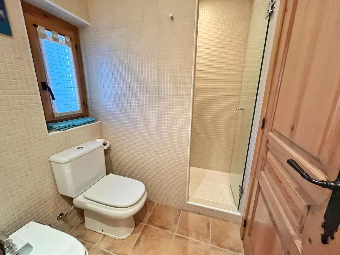 Baño de Casa o chalet en venta en Alp poble