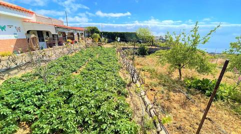 Foto 4 de Finca rústica en venta en Vistas, Fasnia, Santa Cruz de Tenerife