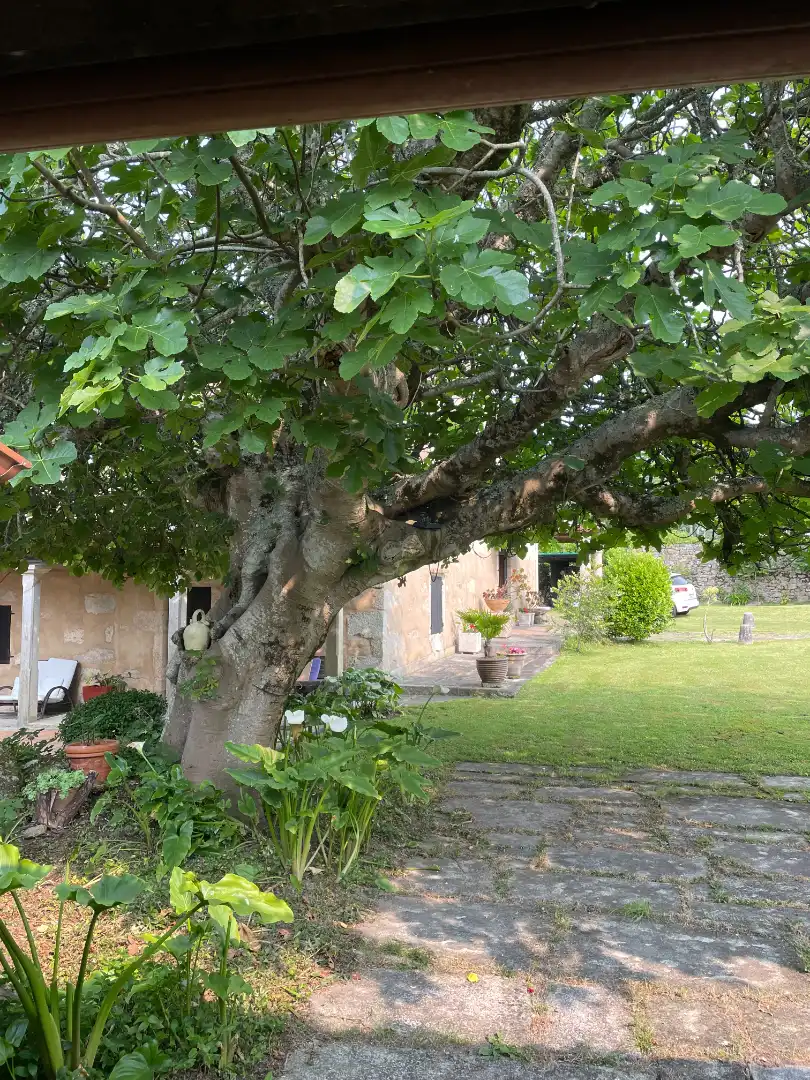 Finca rústica en venta en AC-303, Corrubedo