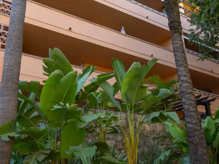 Exterior view of Flat for rent in Marbella  with Private garden, Terrace and Swimming Pool