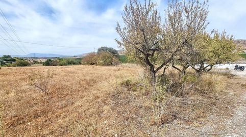 Photo 4 of Land for sale in Alquería - Torrealquería, Alhaurín de la Torre