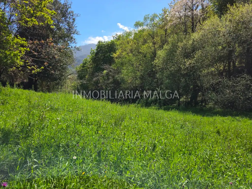 Casa o xalet en venda en Colunga amb Calefacció, Jardí privat i Parquet